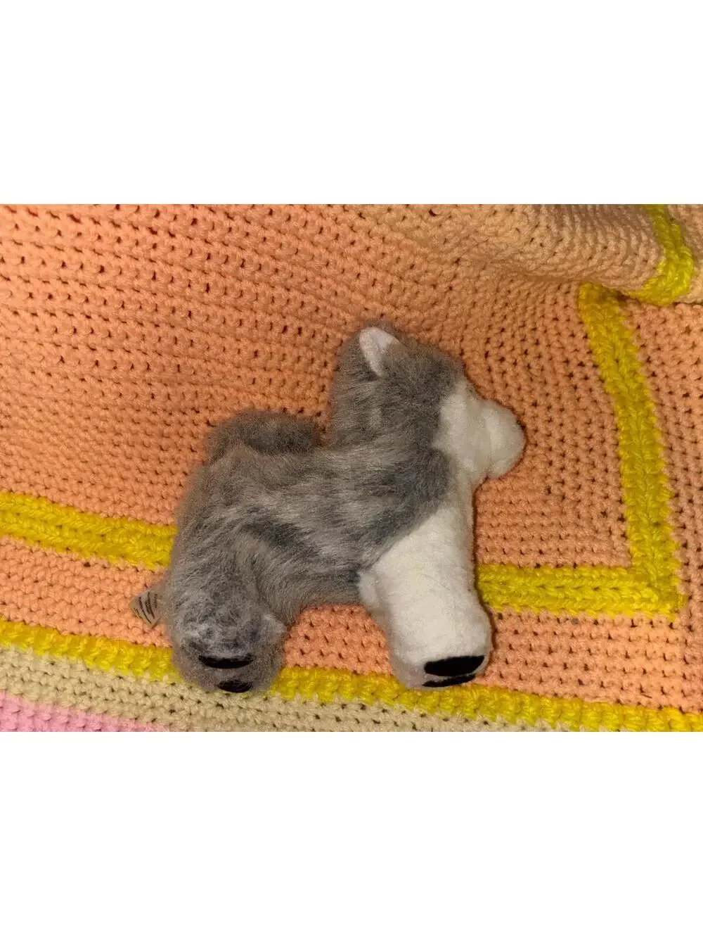 American Girl Pepper Husky Dog 2013